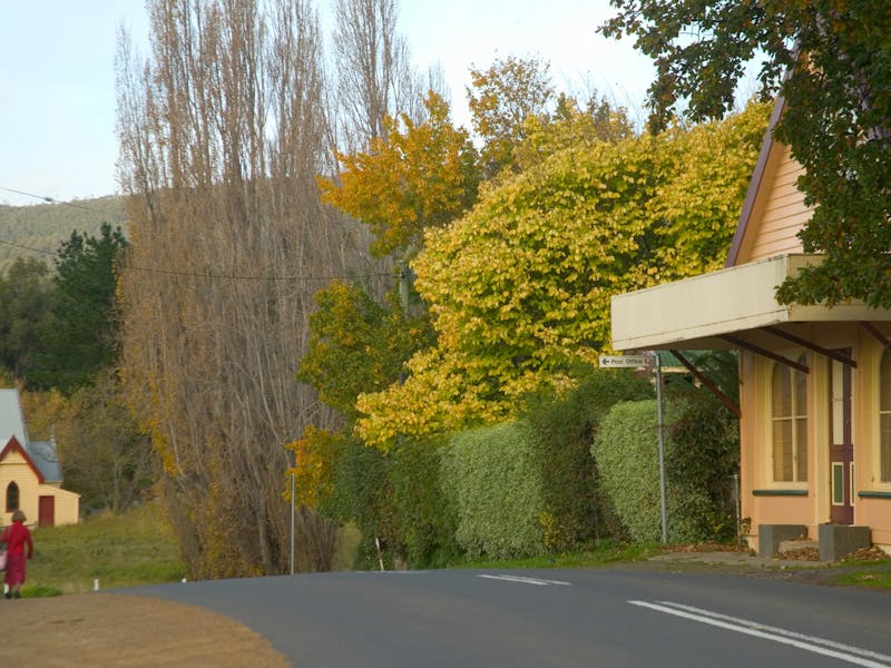 Streetscape of Woodbridge