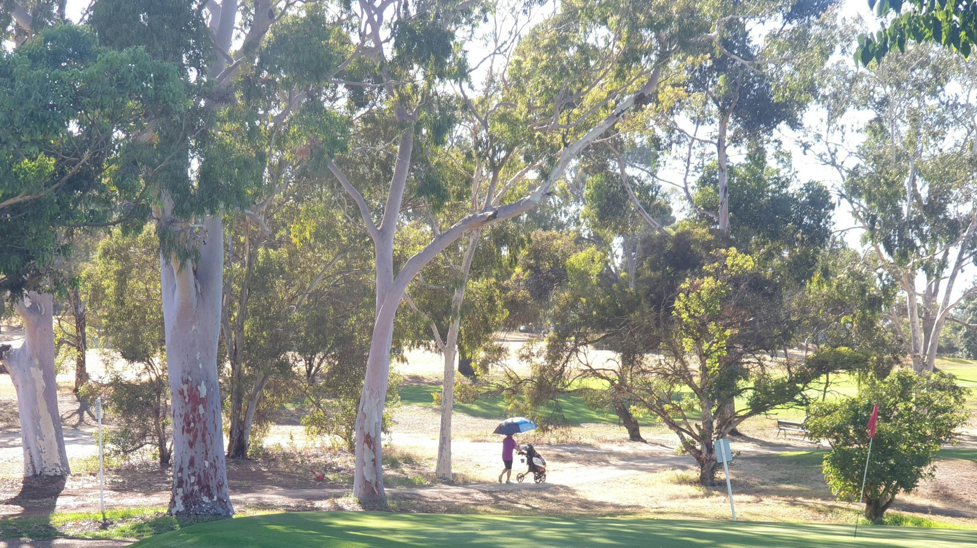 Possum Park /Pirltawardli (Park 1)