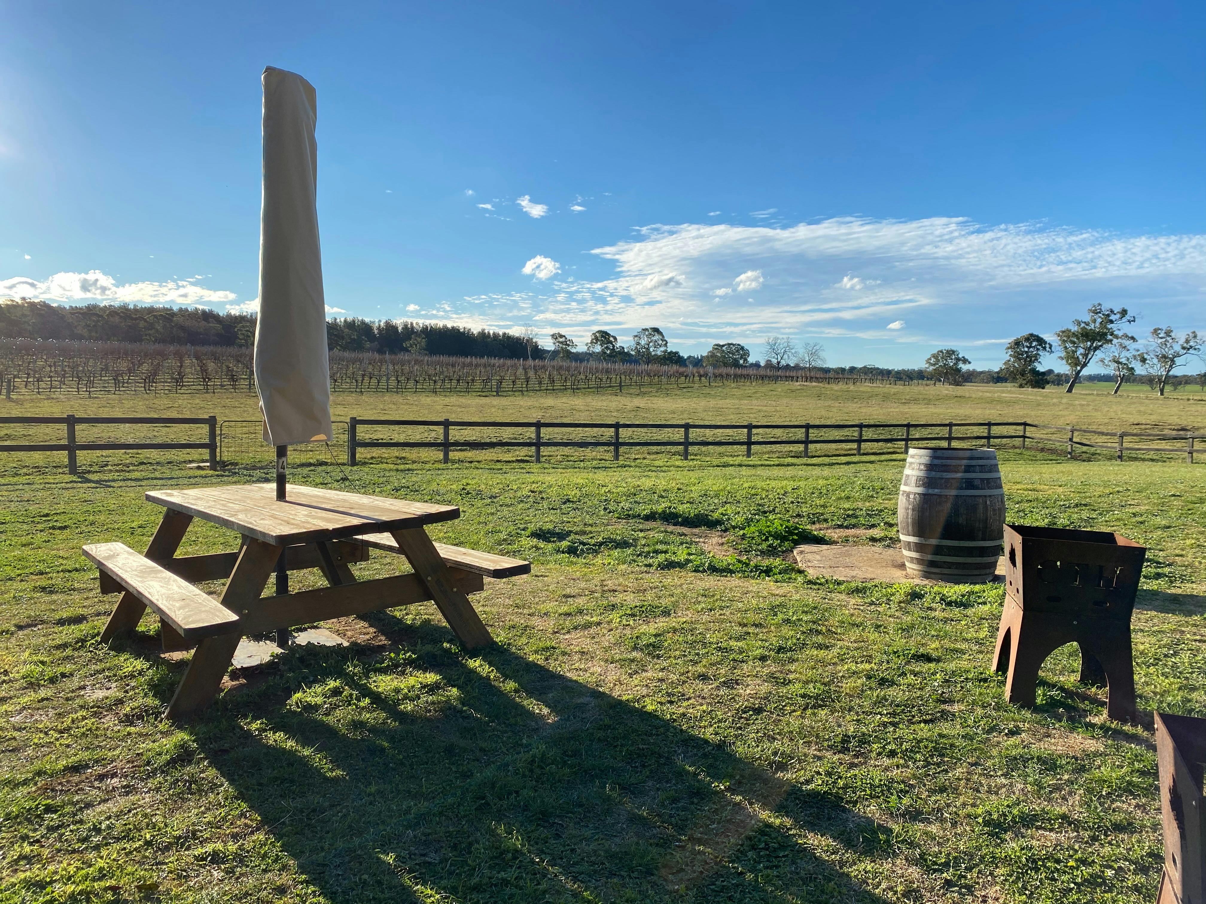 Wine, Wine & Cheese Tour