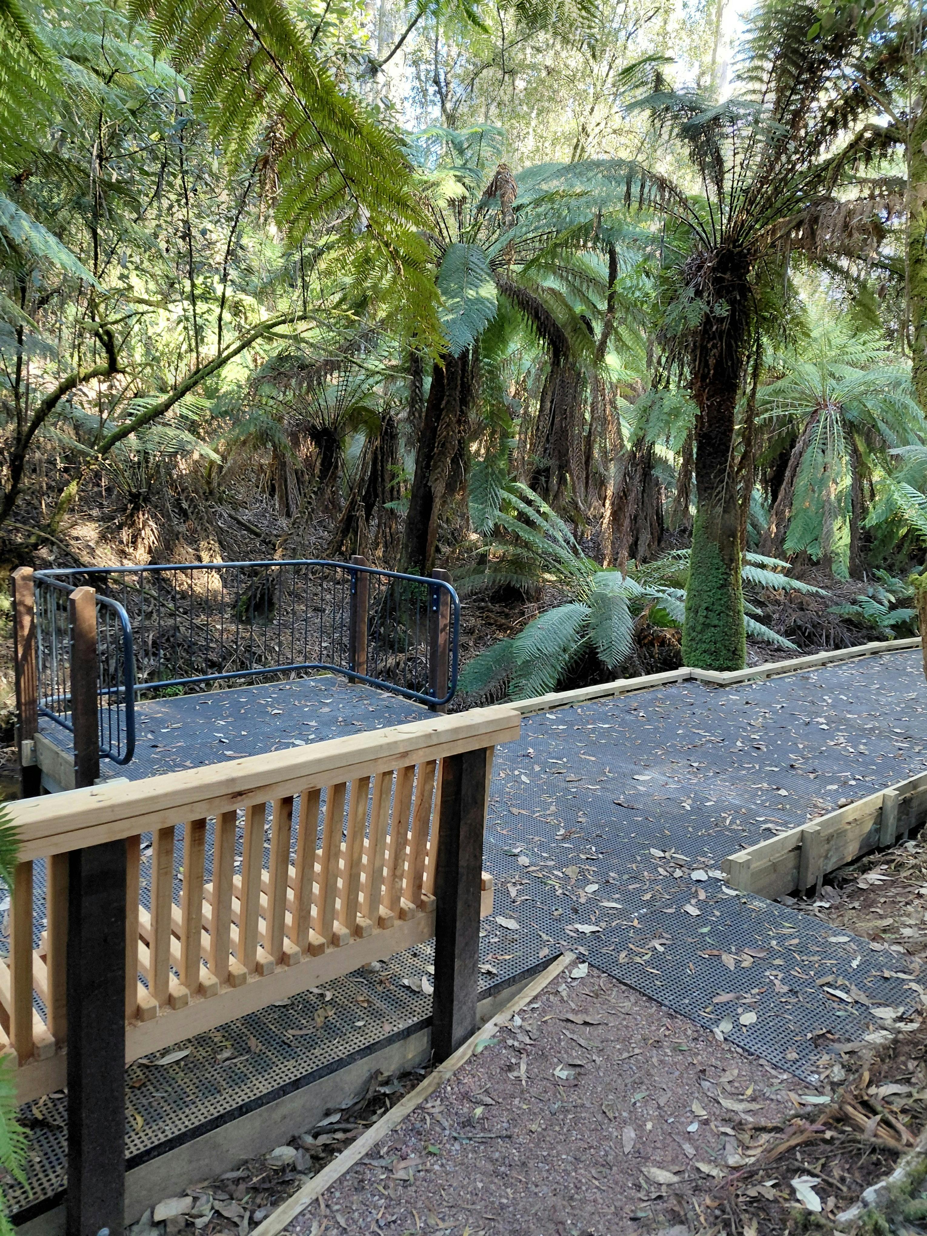 Dial Range – Ferndene Track