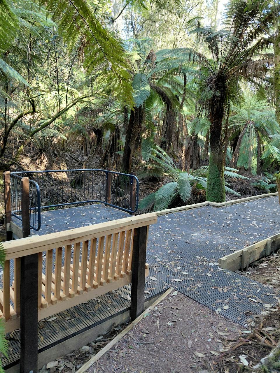 Dial Range - Ferndene Track photo