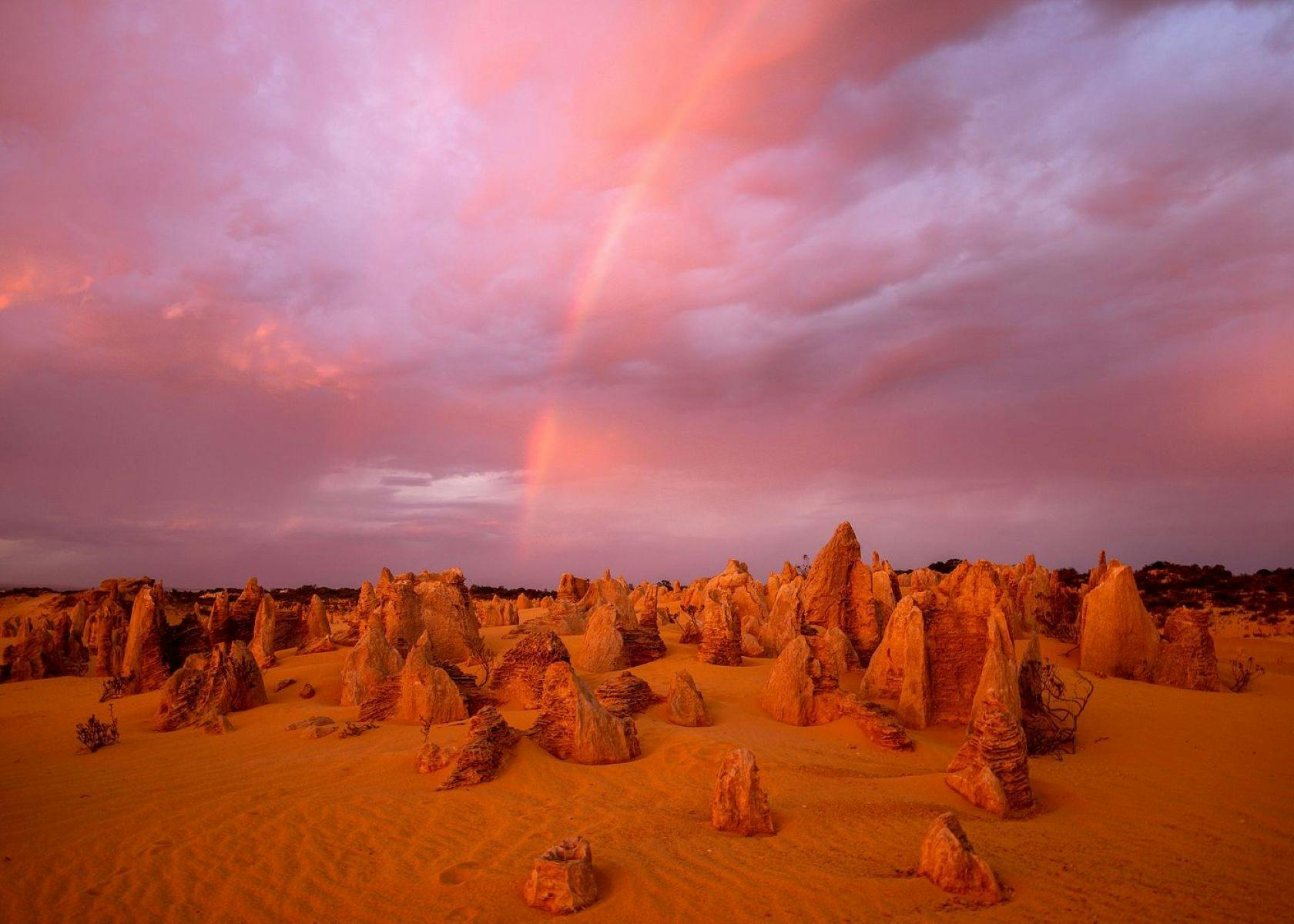 Private Pinnacles Sunset & Stargazing with Lobster Dinner Premium Tour