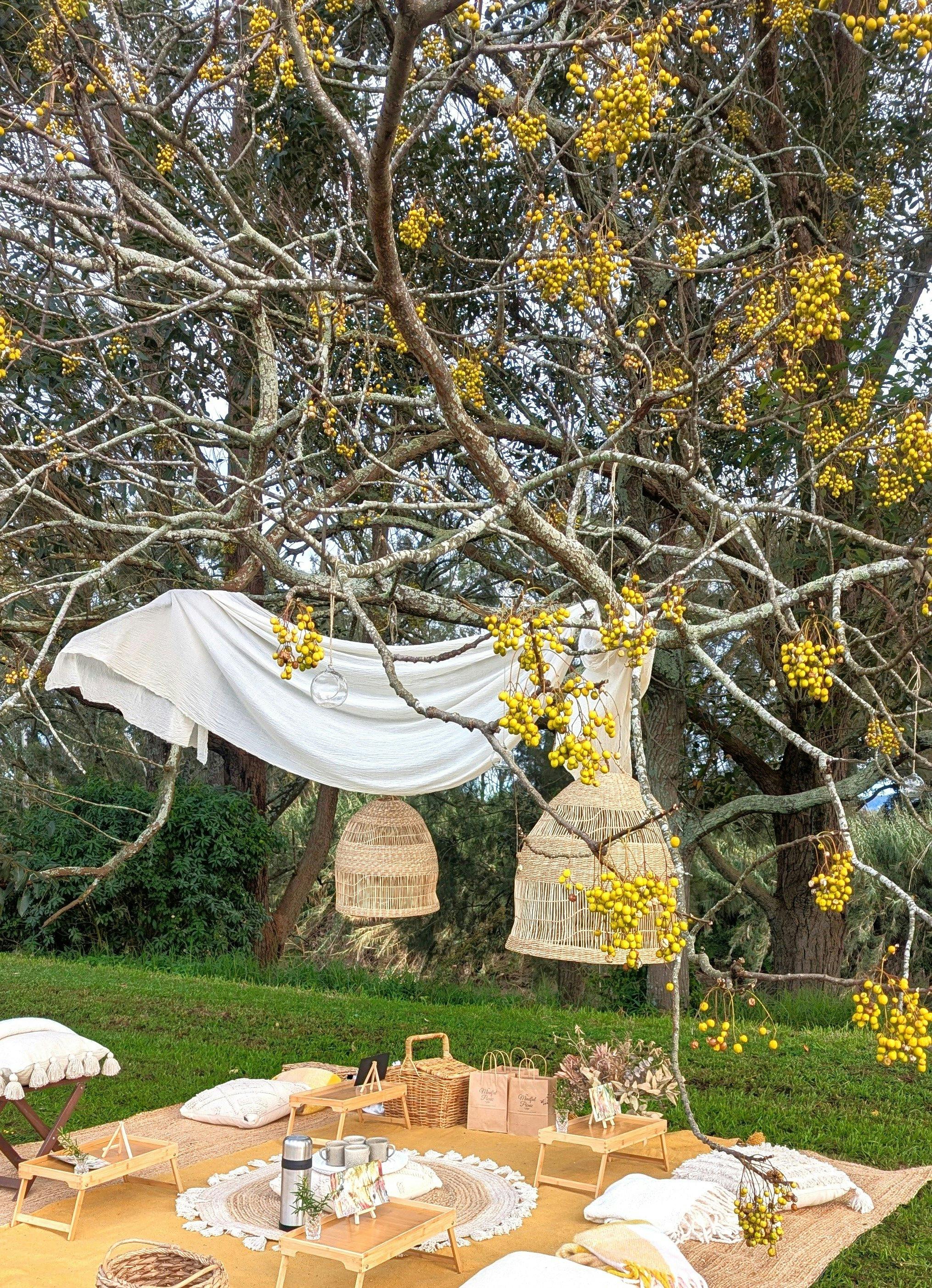 マインドフルピクニック