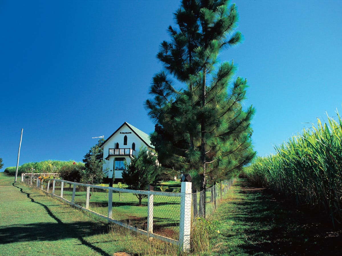 Cottage amongst Sugar Cane