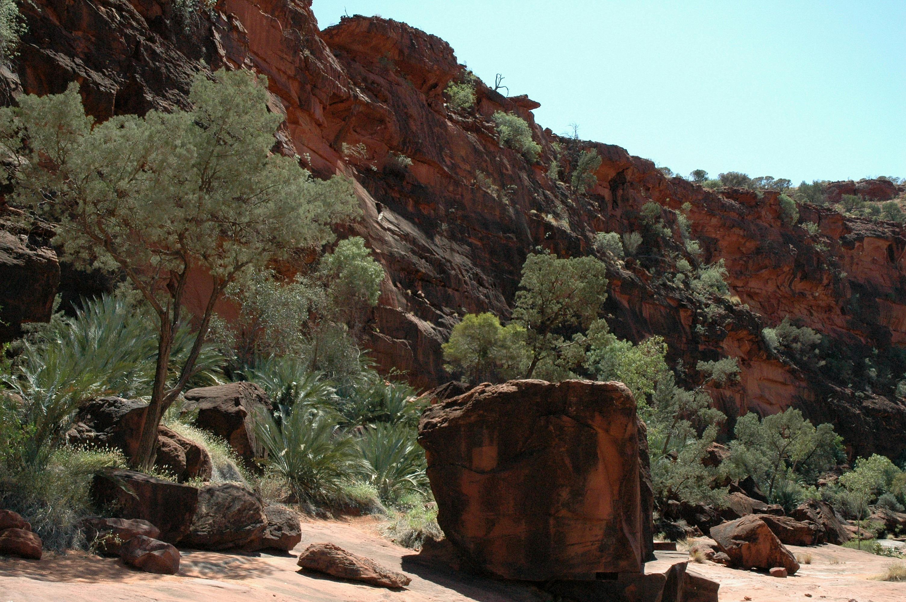 Larapinta Trail Transfers