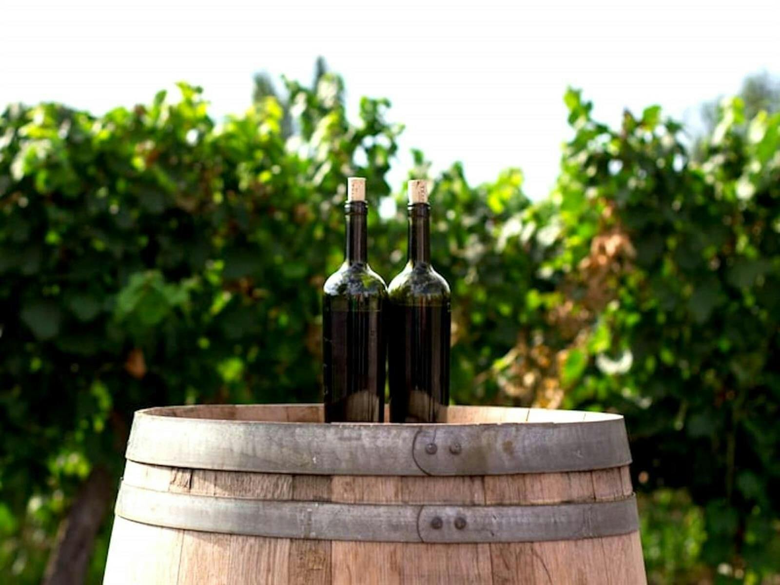 Valley Wines