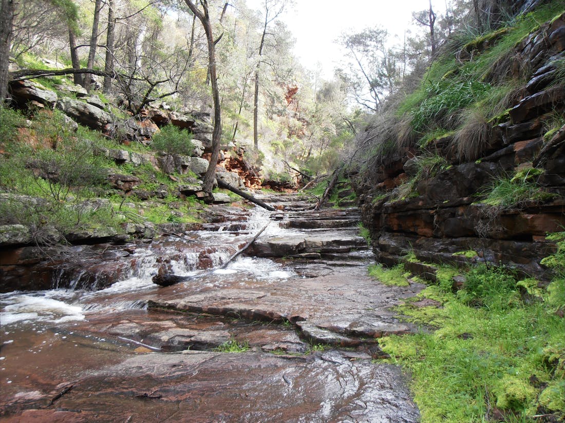 1 Day Flinders Ranges Tour - Southern Ranges - SWTSFR01, Tour Se...