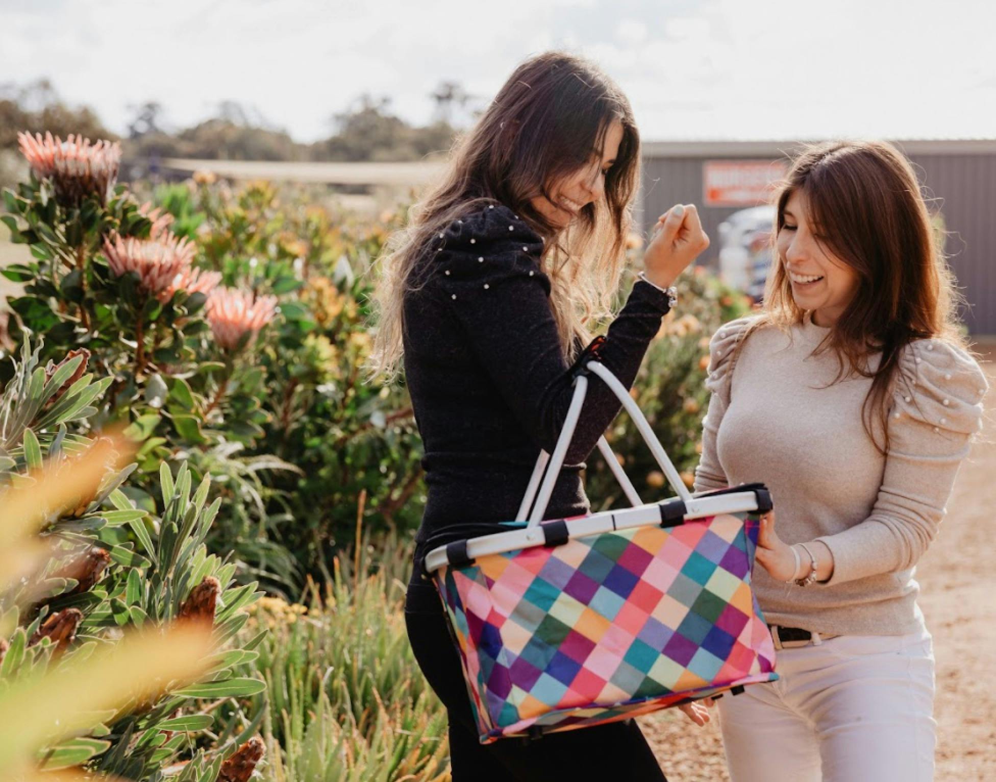 Mystery Picnic - Bendigo