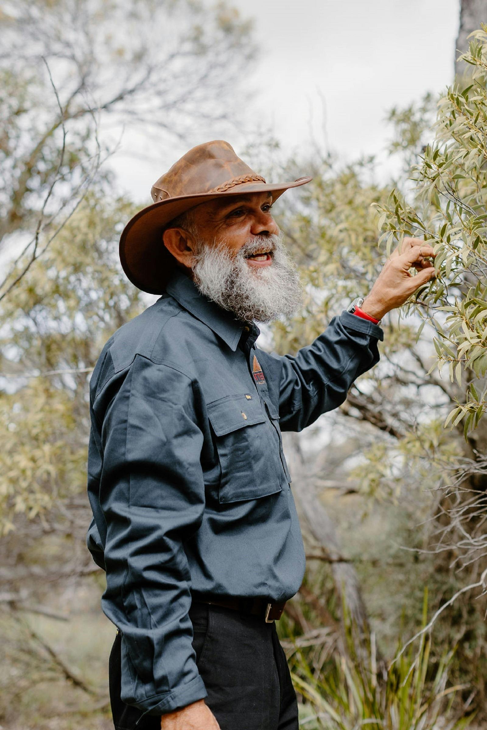 On tour showing the Sandalwood Tree