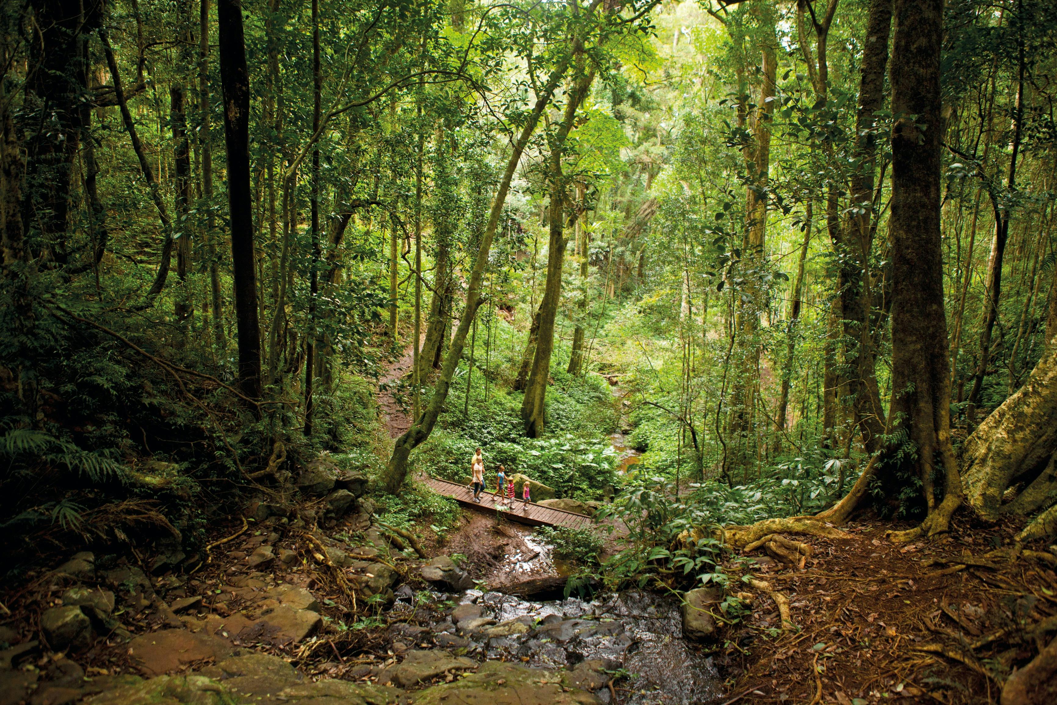 Bunya Mountains