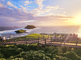 Local Way Tours - Phillip Island Explorer