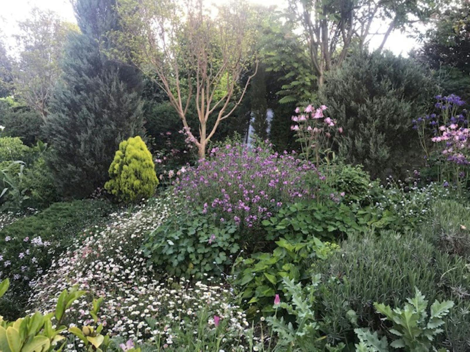 Colourful gardens at Kanimbla Park