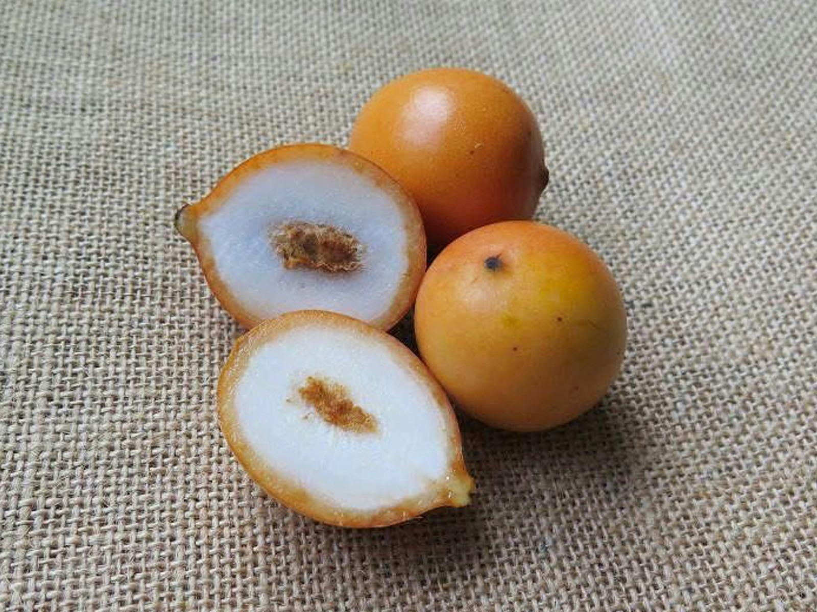 Achacha - Tasting on Private Tour