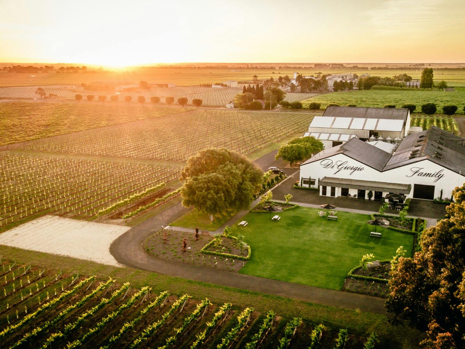 DiGiorgio Family  Wines