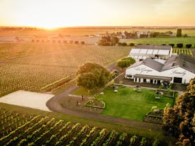 DiGiorgio Family Wines
