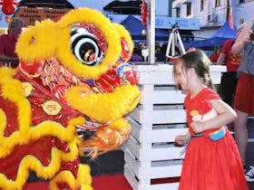 Great Barrier Reef Chinese New Year