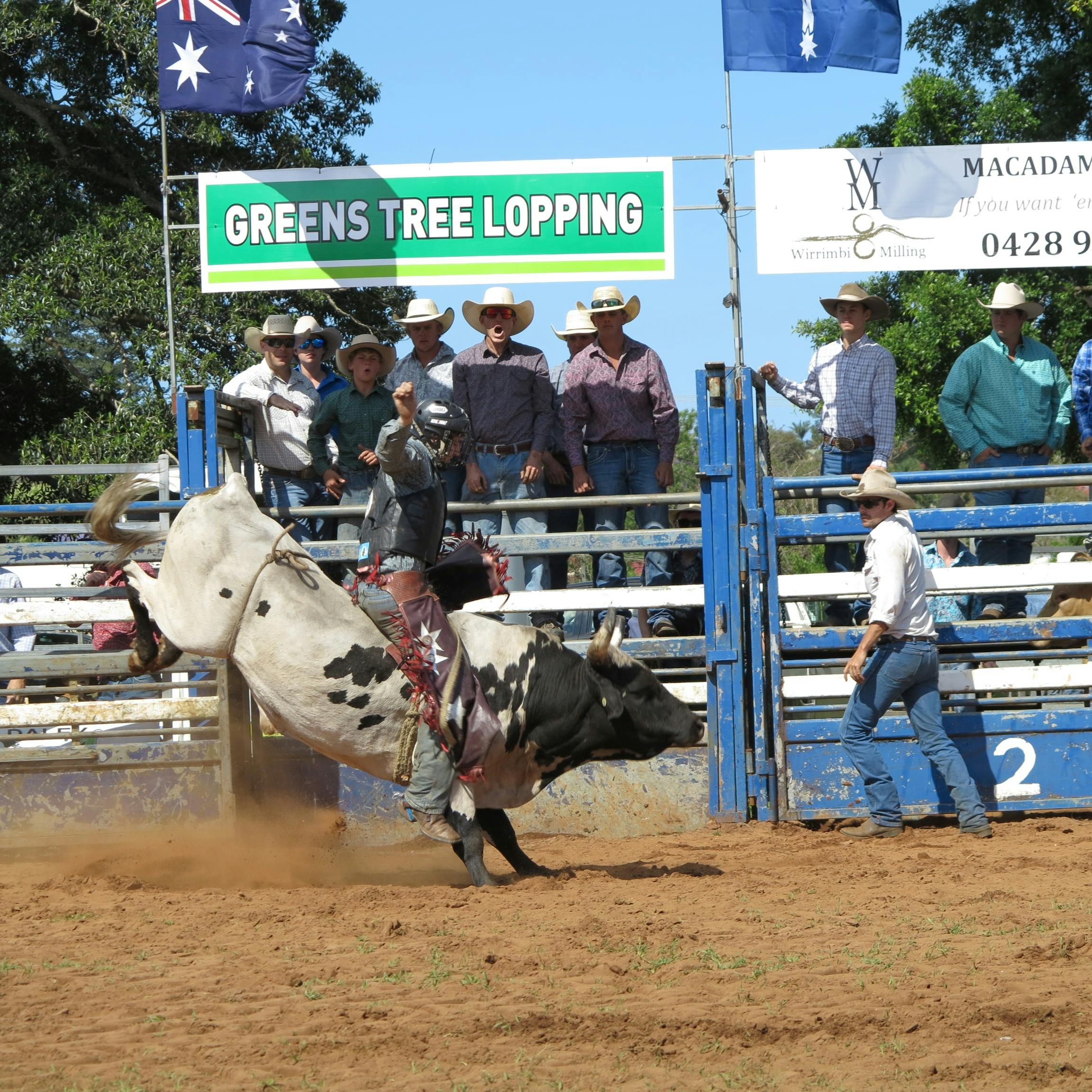 Bull riding