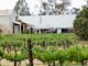 St Leonards Vineyard