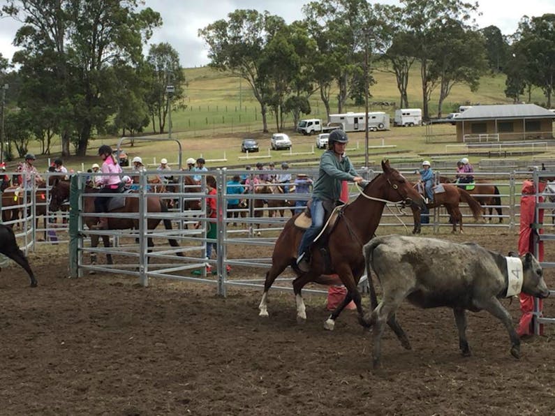 Image of the event 'Dungog Team Penning'