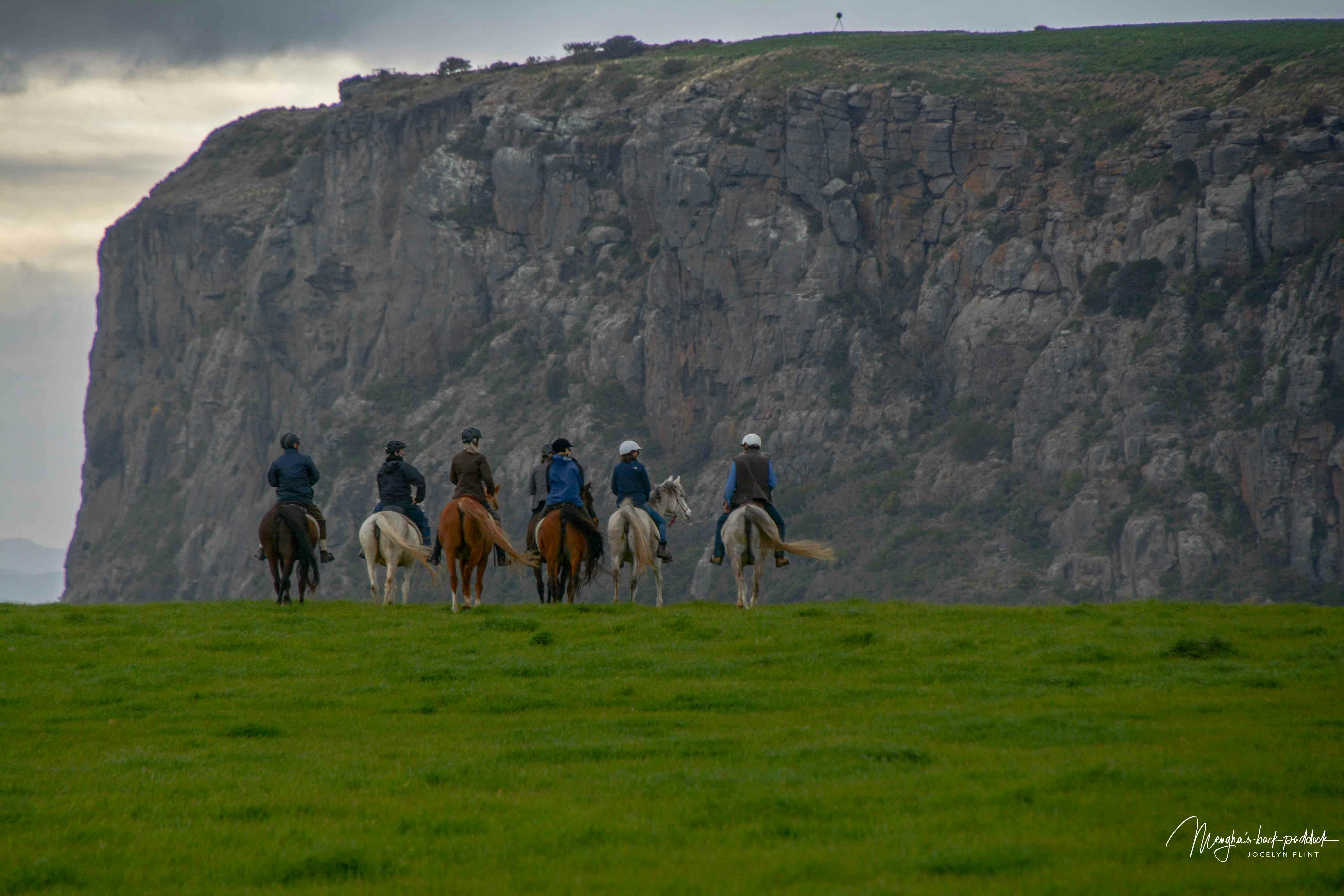horse riding australia, horse back holidays