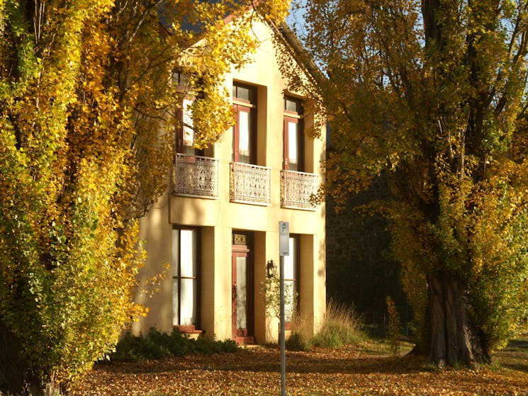 House with trees