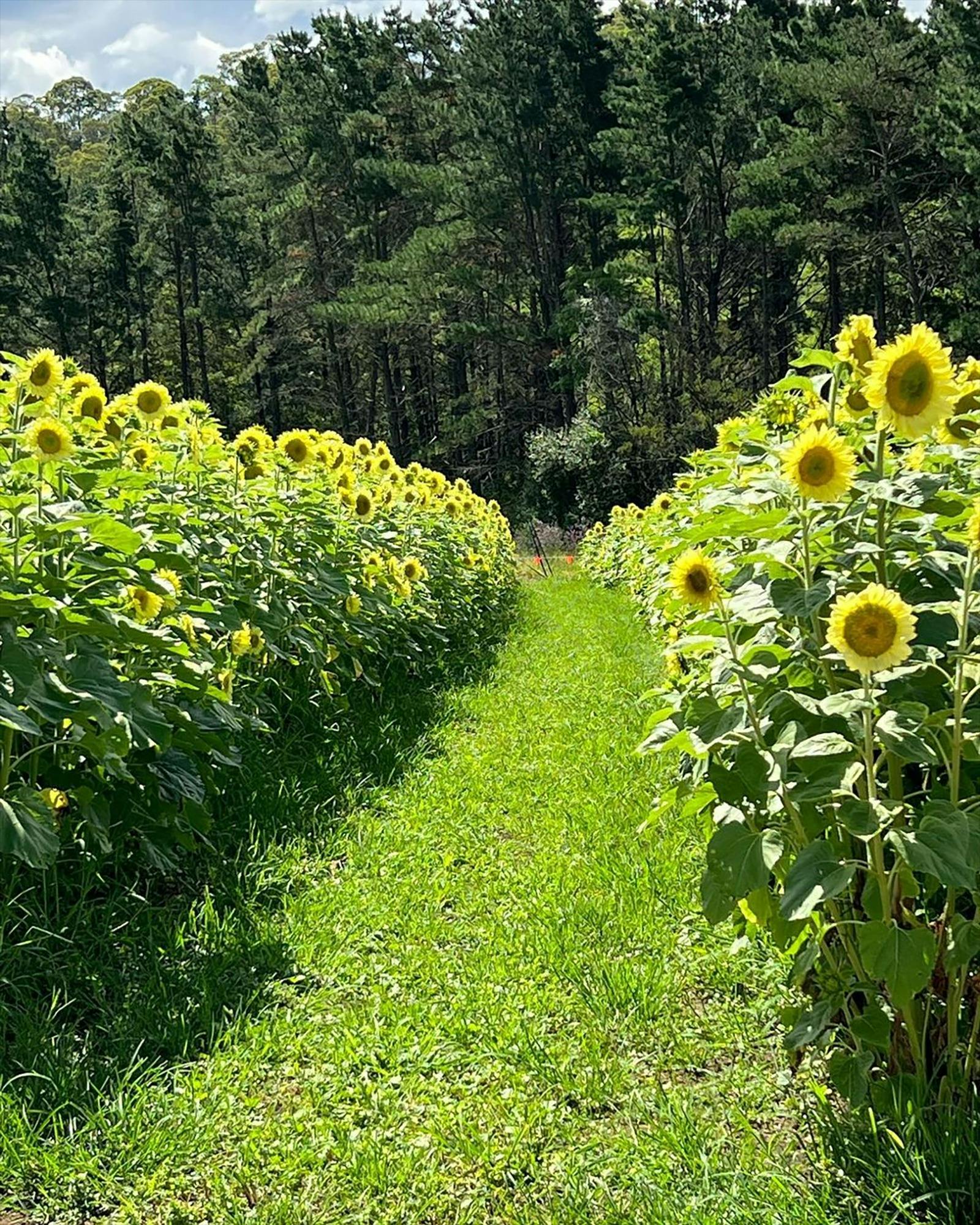 Glenbernie Family Farms
