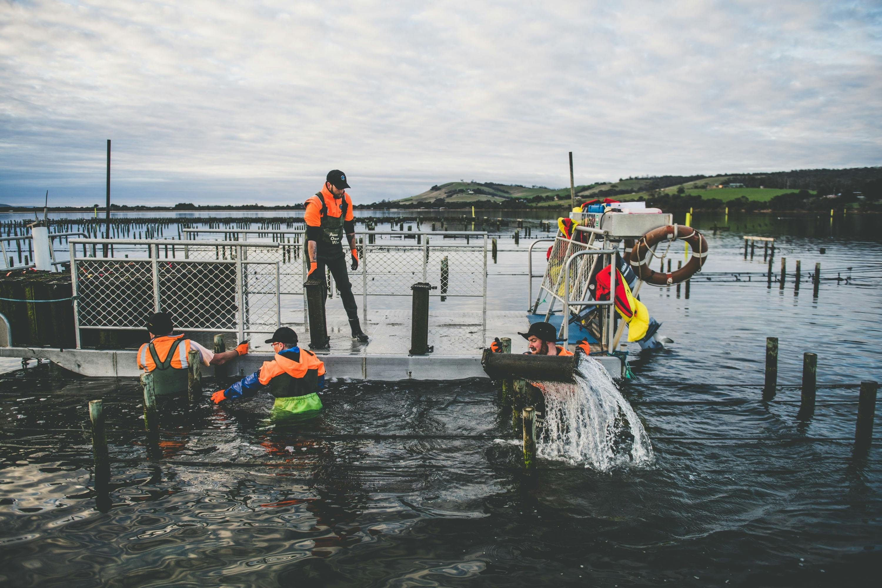 Tasmanian Oyster Company Hobart and Beyond