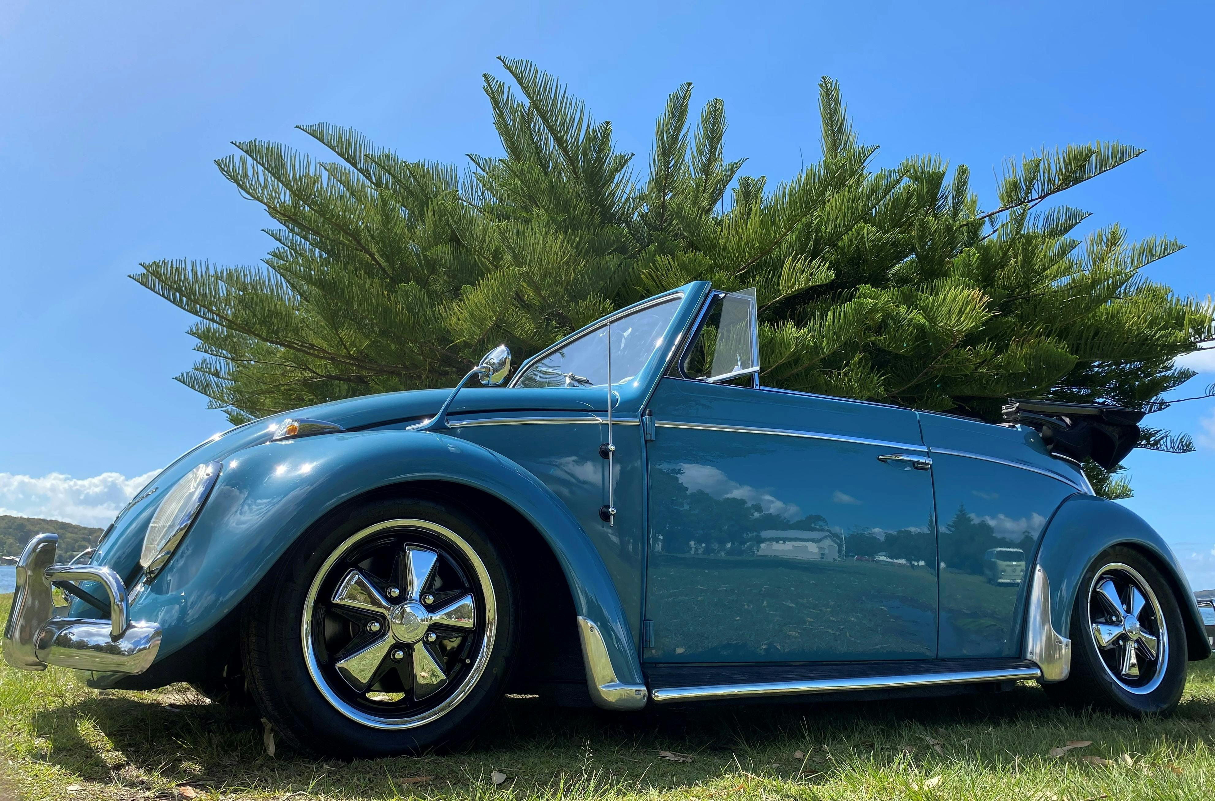 Twisted Vine Unique Tours - 3.5hr Wine Tour VW Beetle