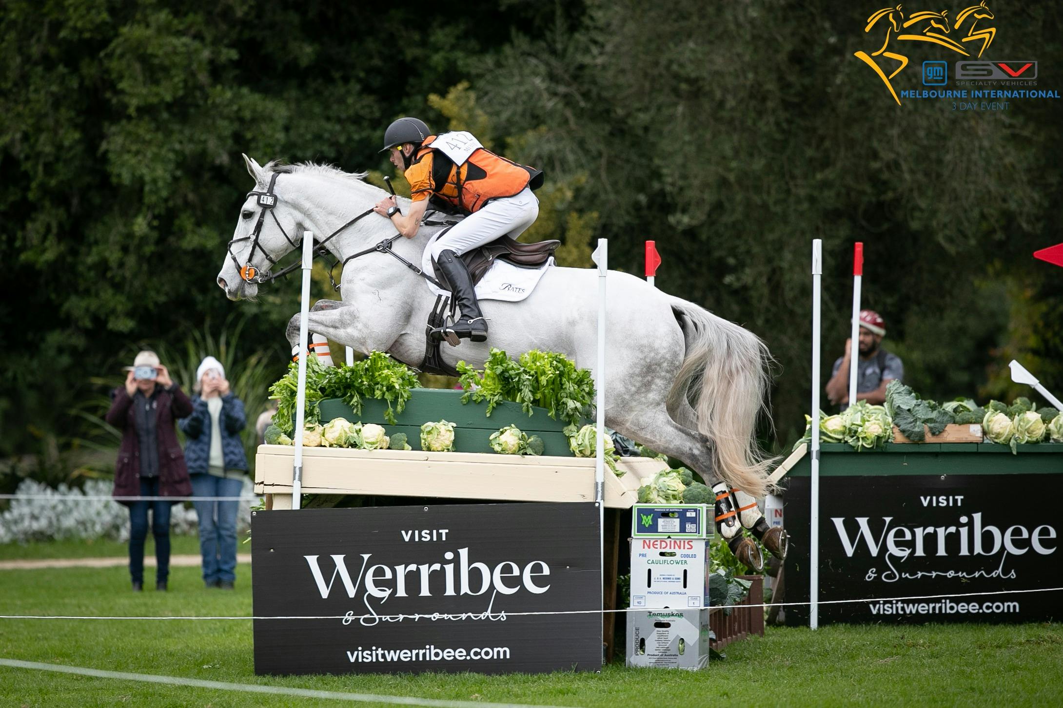 Rider jumping over hurdle