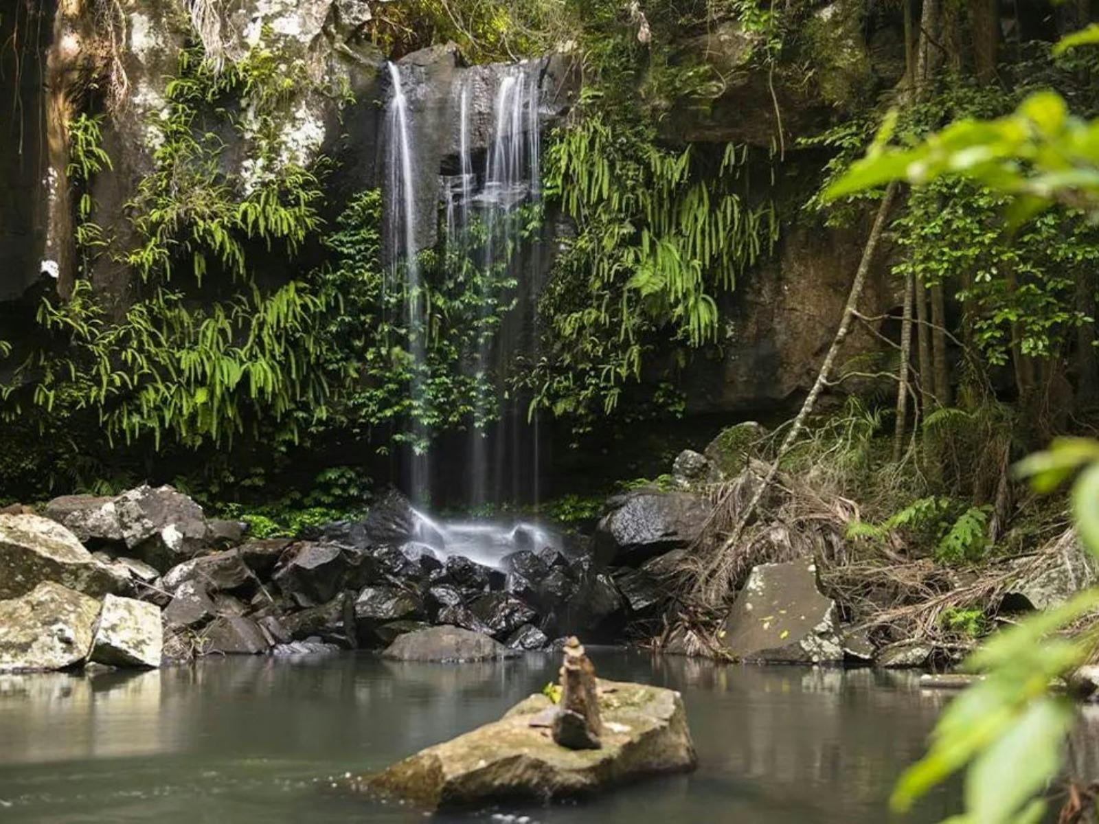 Walk Queensland's Scenic Rim