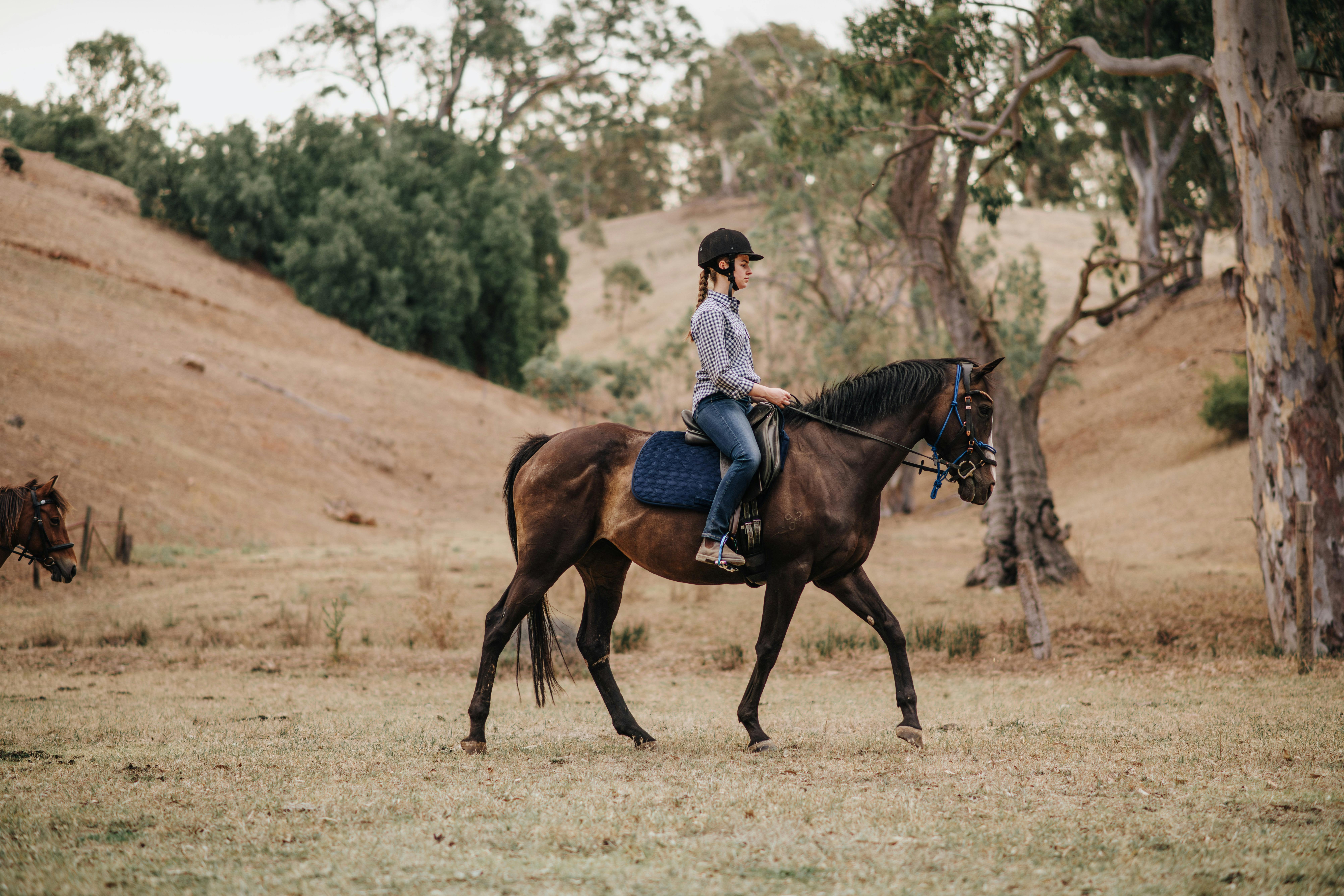 A girl riding a horse through a paddock