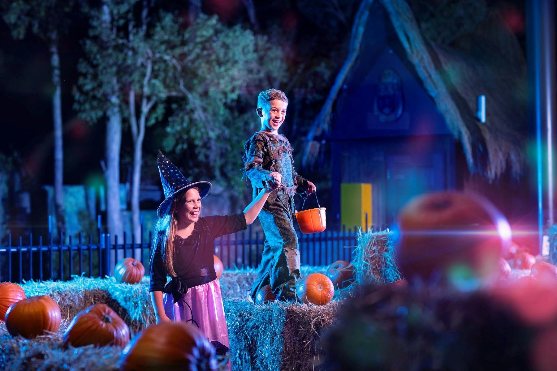 halloween at night