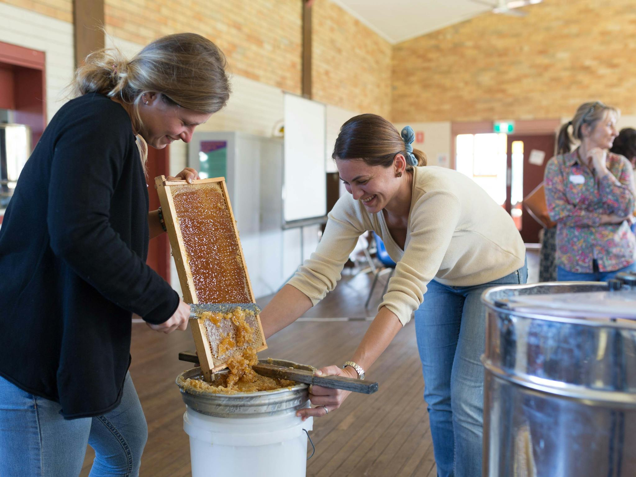 Learning to extract honey.