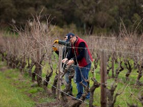 Hayes Family Wines