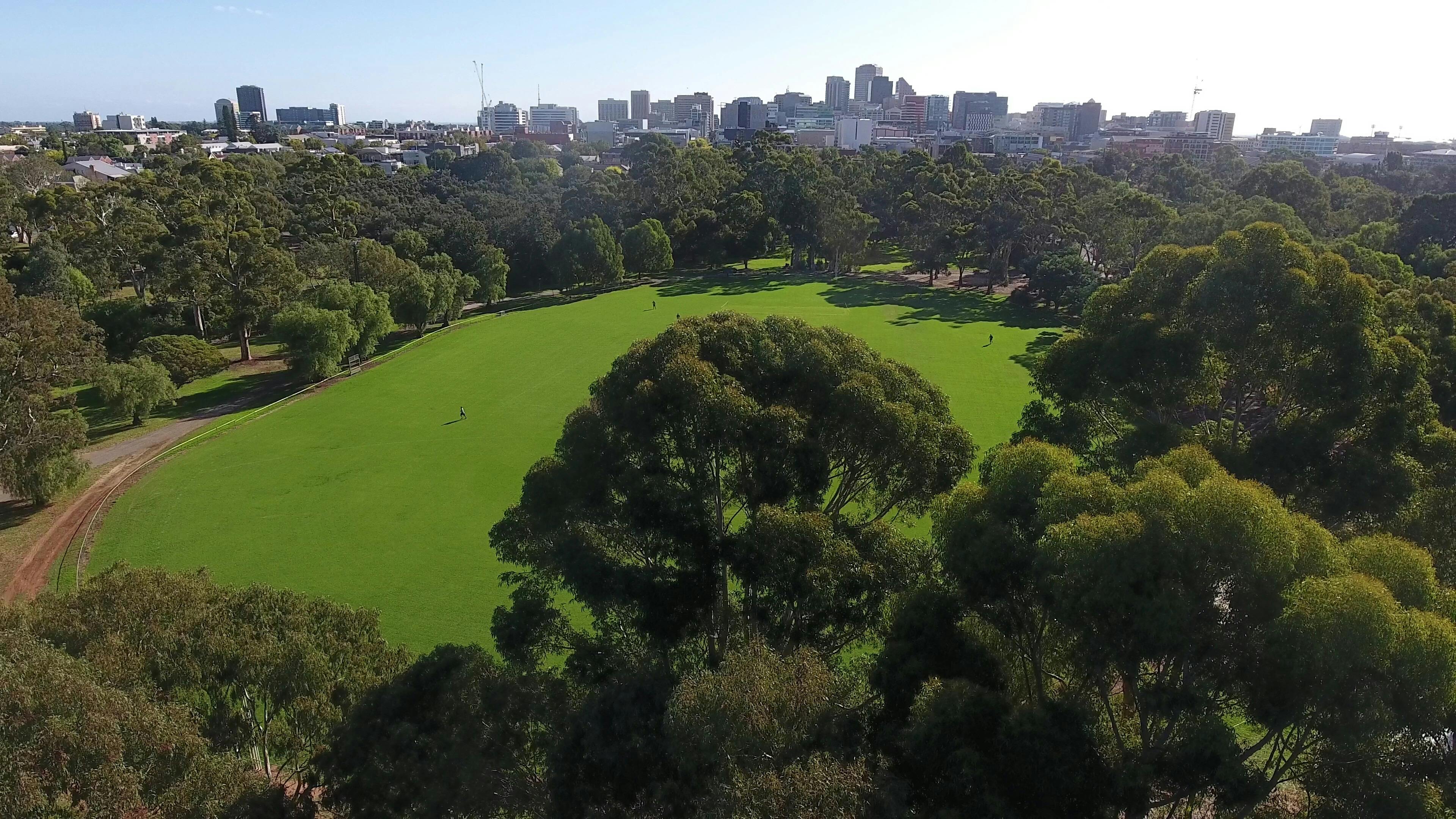 Adelaide Parklands Guided Walk - King Rodney Park / Ityamai-itpina (Park 15)