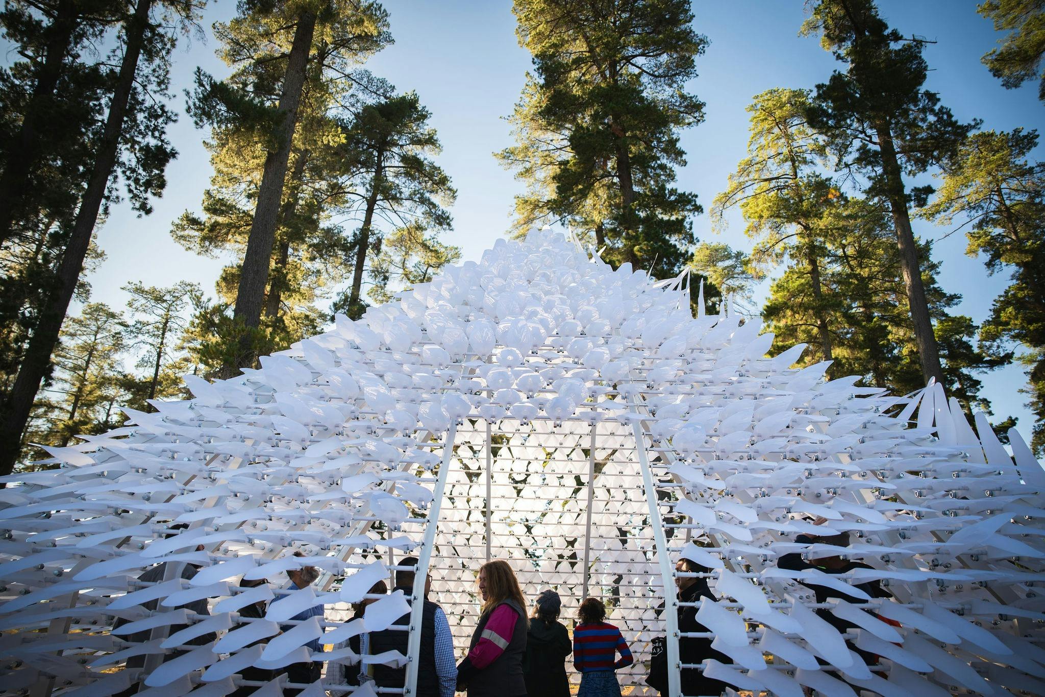 Shiver House V4 sculpture, Bago State Forest