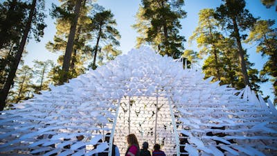 Shiver House V4 sculpture, Bago State Forest