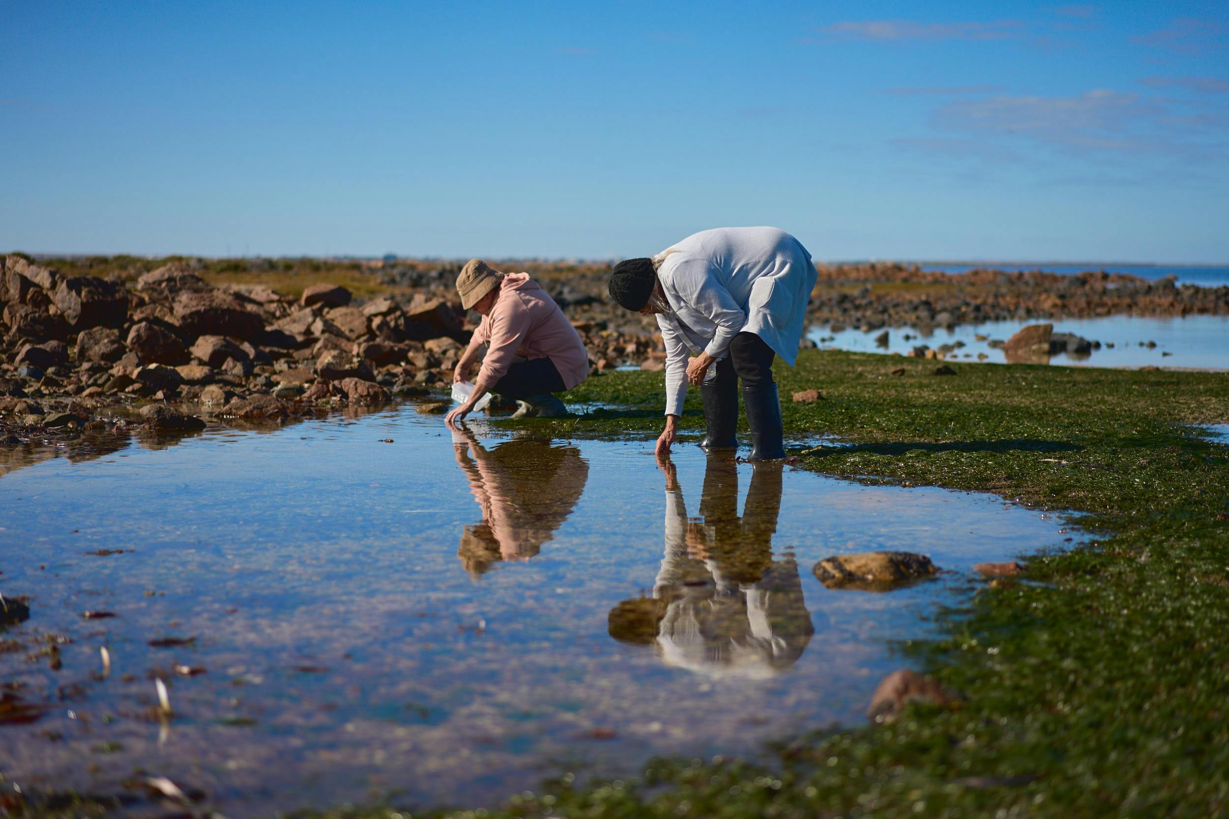 Two women searching through rockpools