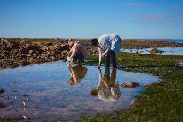 Saltbush Country | Broken Hill