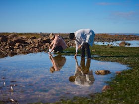 Two women searching through rockpools