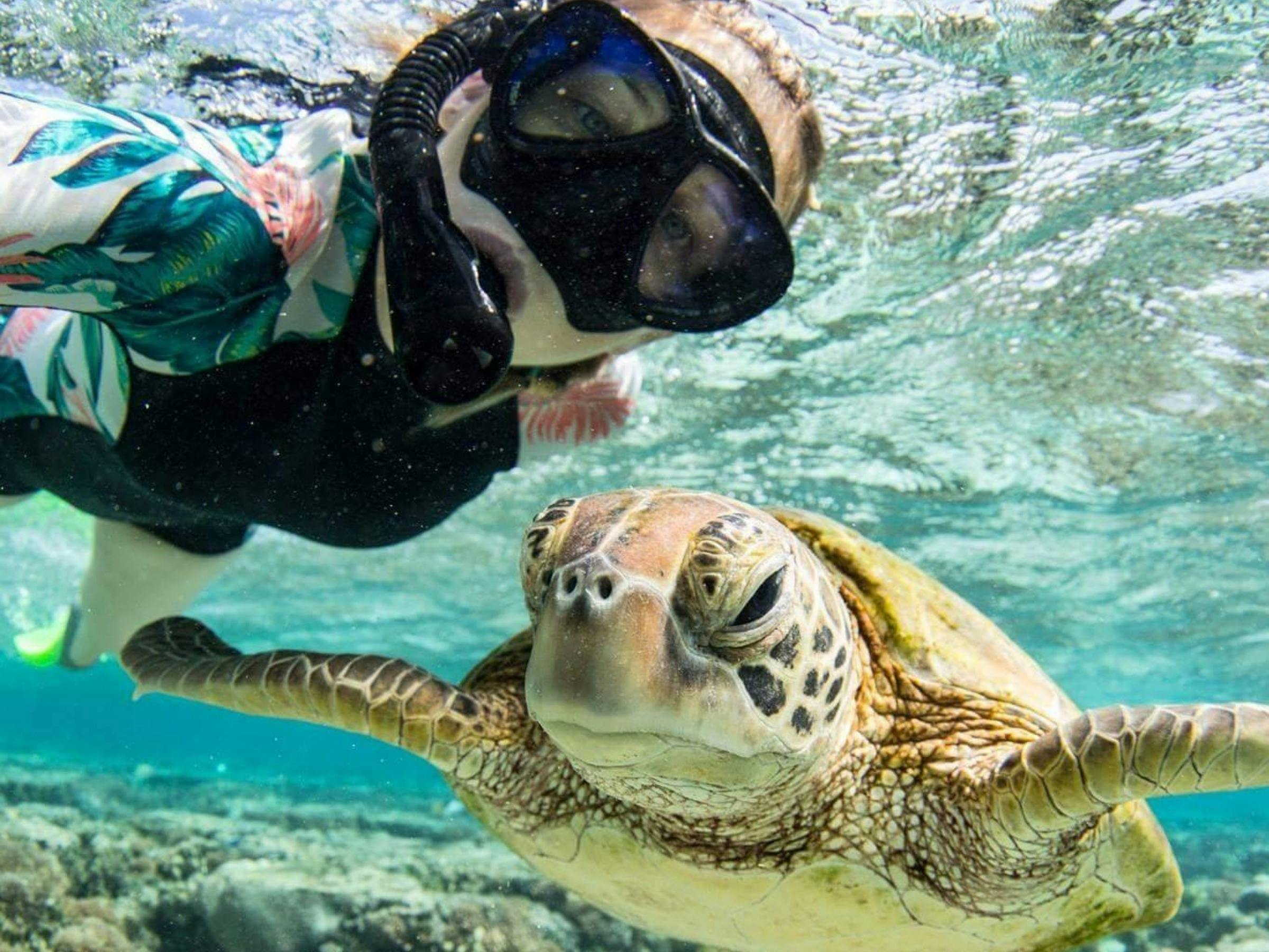 Snorkeler taking a selfie with a turtle