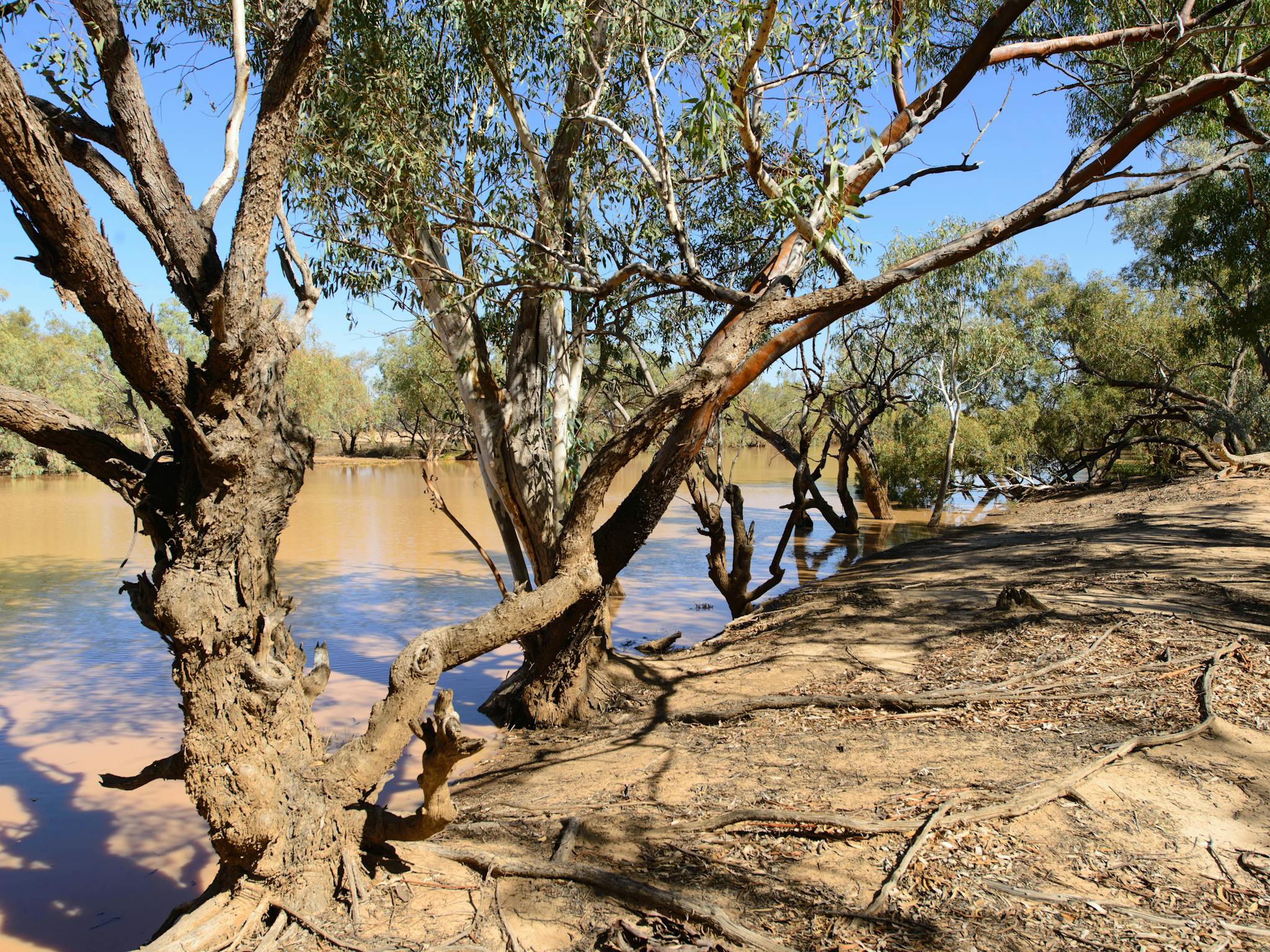 Waterhole Waterhole