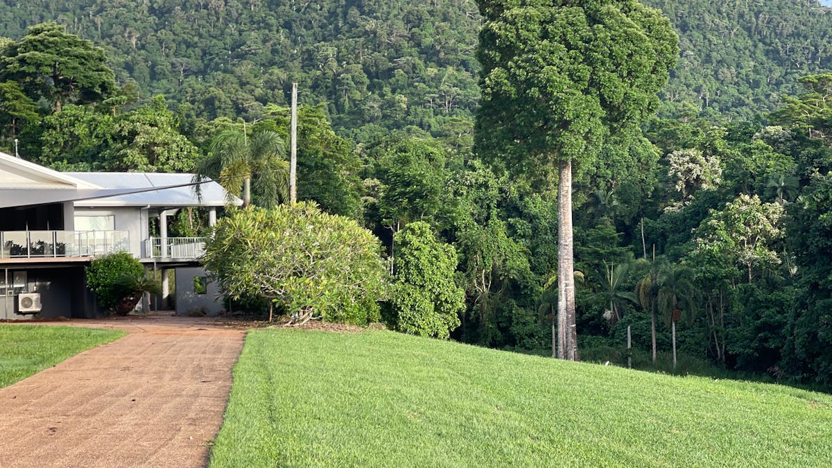 The grounds