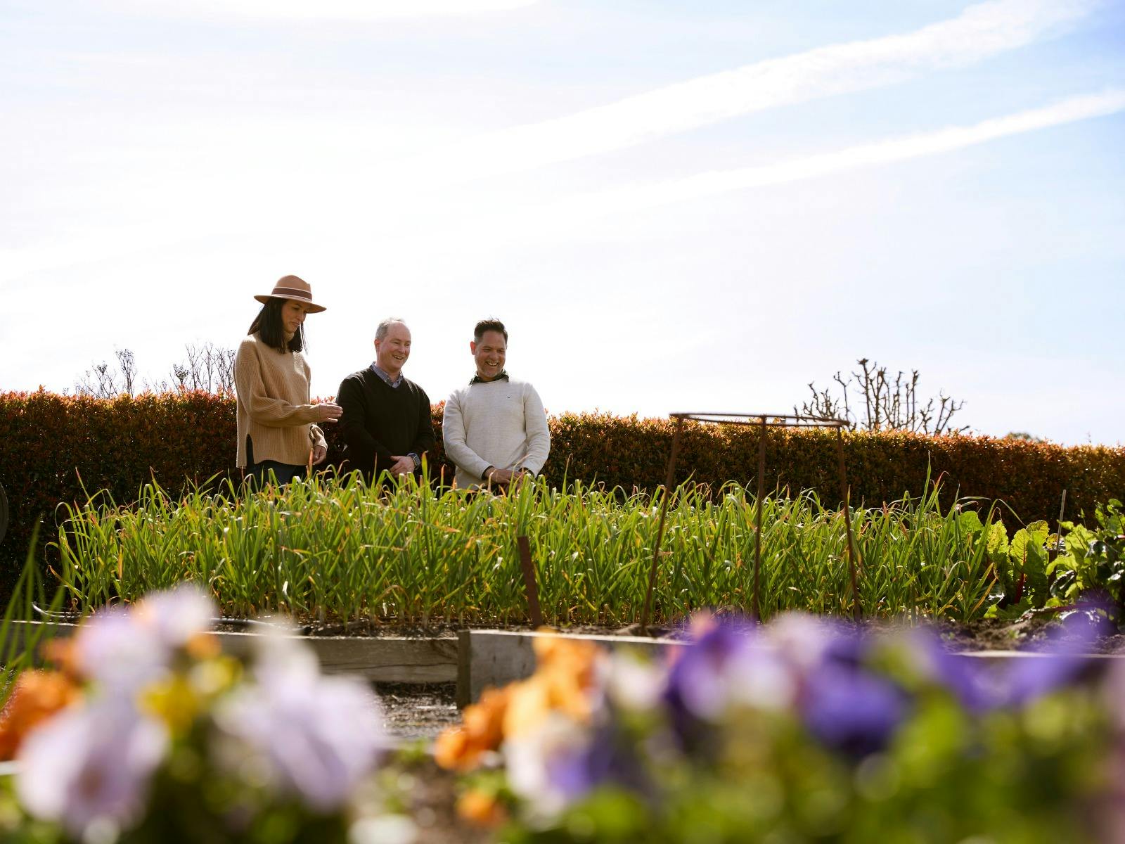 From Vine to Vault with Epicurean Cellar Lunch Experience