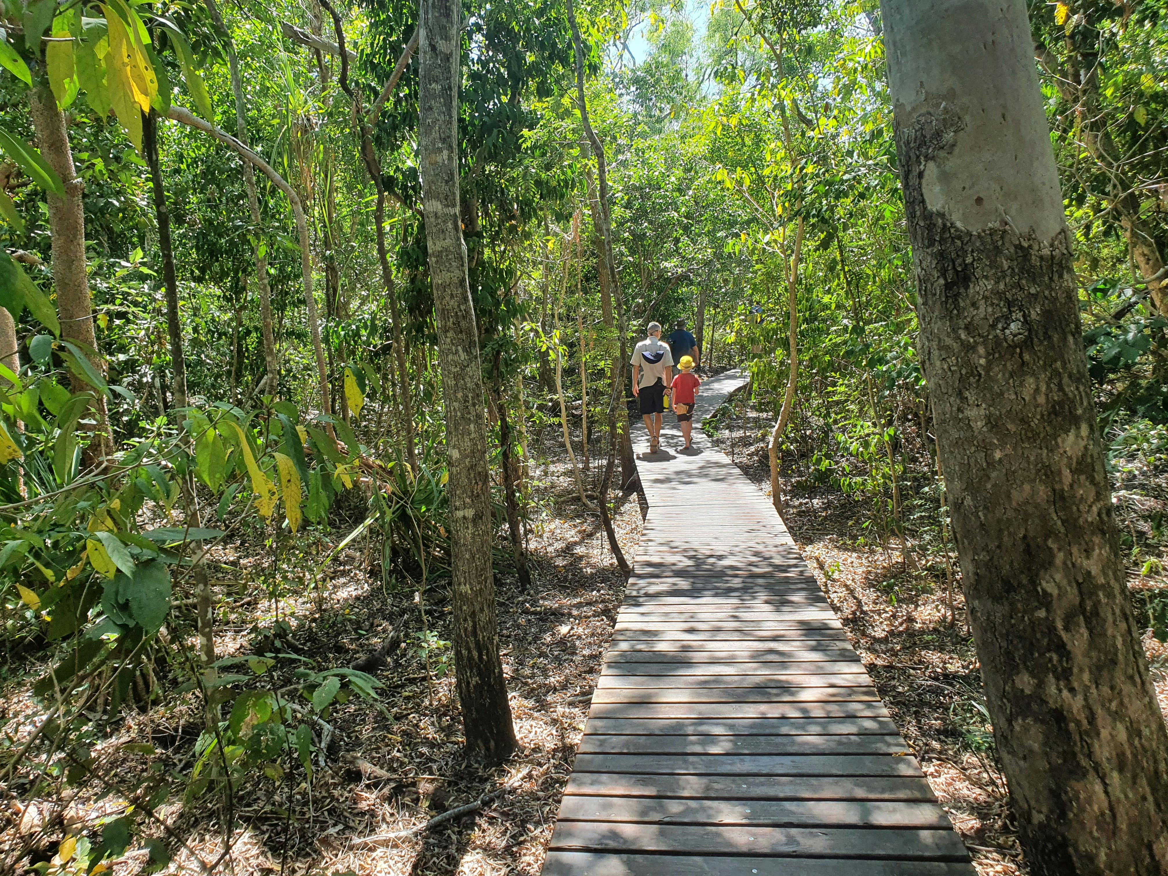 Boardwalk through the bush