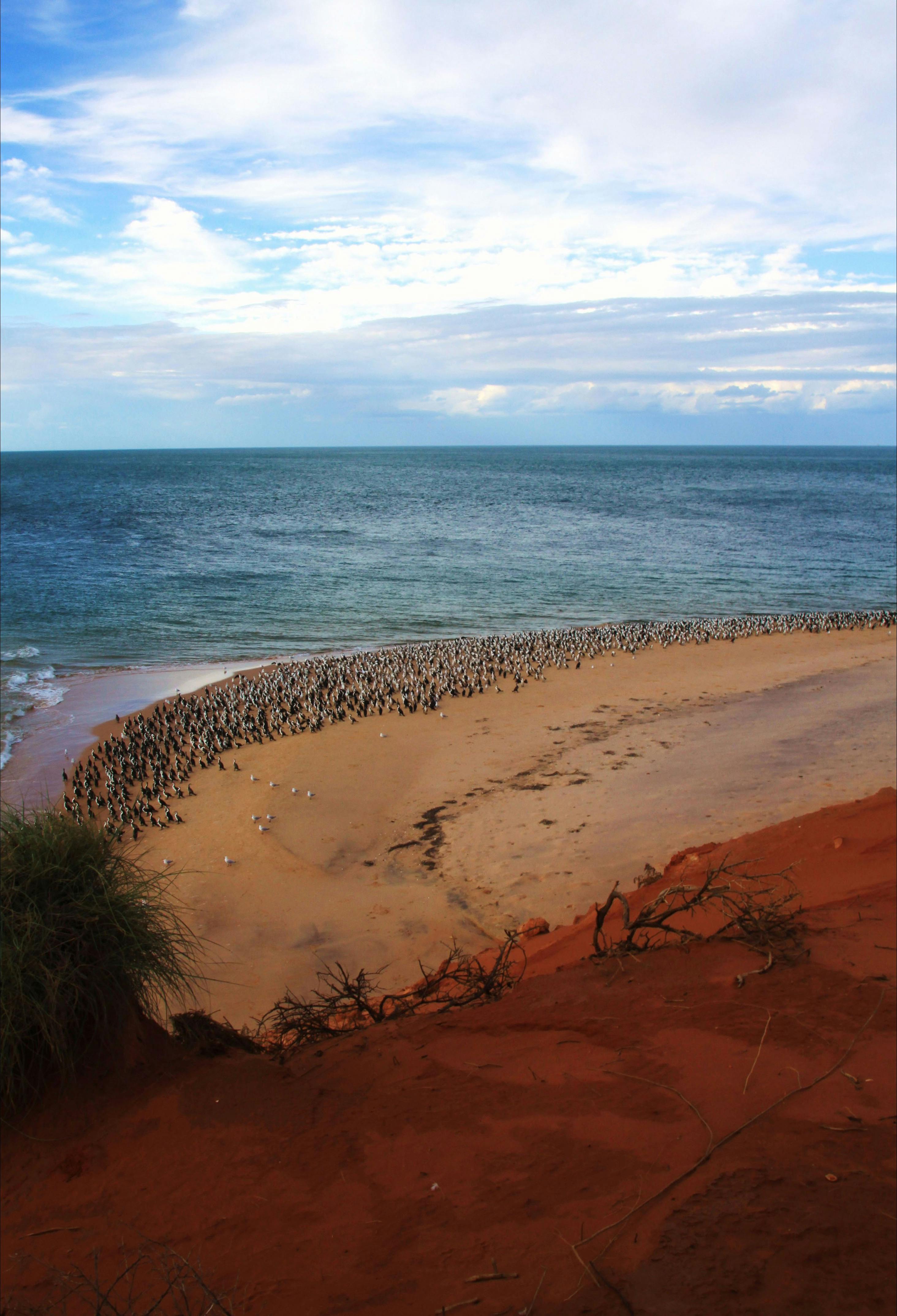 Shark Bay Coastal Tours