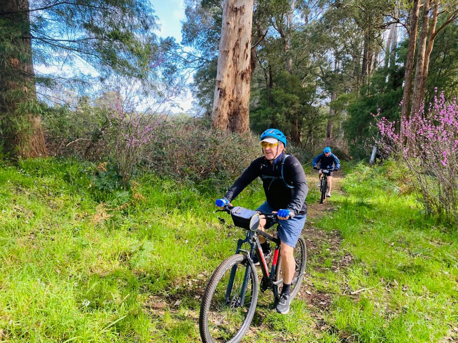 Walpole to Manjimup
