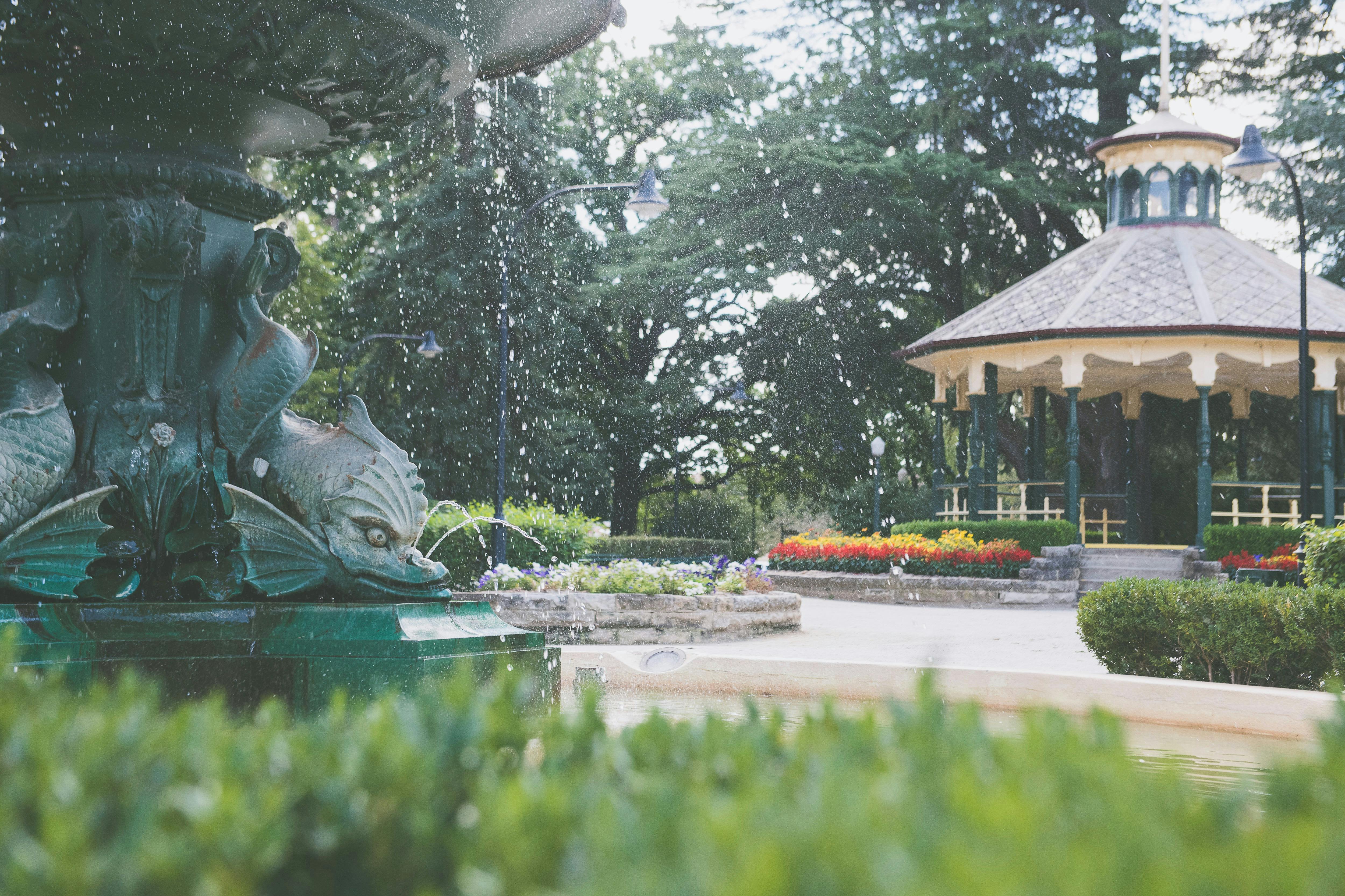 Machatti Park, Bathurst, Picnic, History, Outdoors