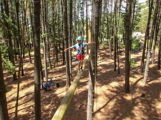 Mighty Yowies Go Wild at Mt Lofty Adventure Hub Summer School Holidays