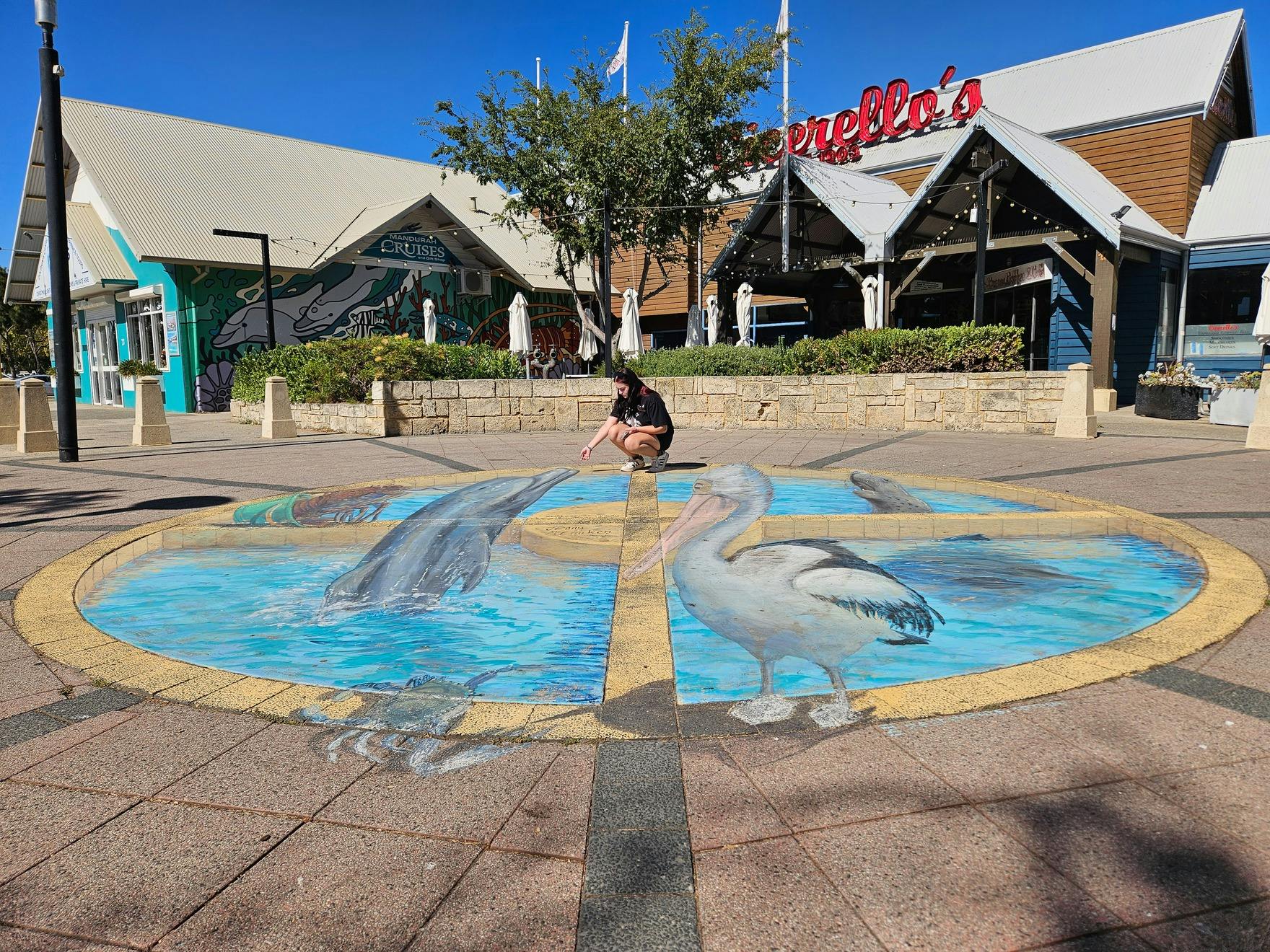Marine Wildlife 3D Illusion